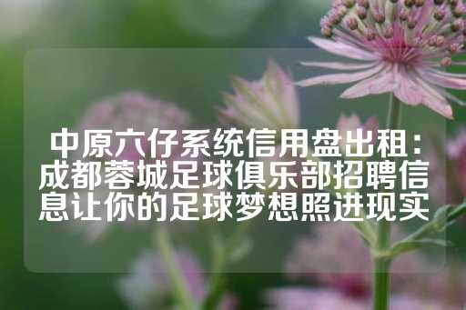 中原六仔系统信用盘出租：成都蓉城足球俱乐部招聘信息让你的足球梦想照进现实