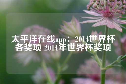 太平洋在线app：2014世界杯各奖项 2014年世界杯奖项-第1张图片-皇冠信用盘出租