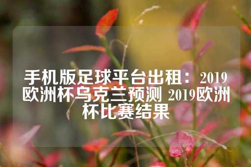 手机版足球平台出租：2019欧洲杯乌克兰预测 2019欧洲杯比赛结果