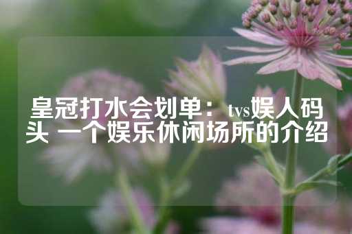 皇冠打水会划单：tvs娱人码头 一个娱乐休闲场所的介绍