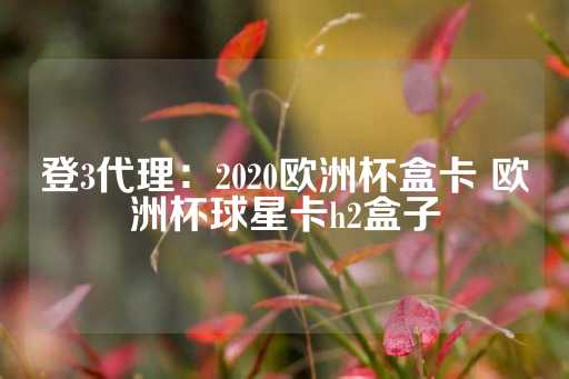 登3代理：2020欧洲杯盒卡 欧洲杯球星卡h2盒子