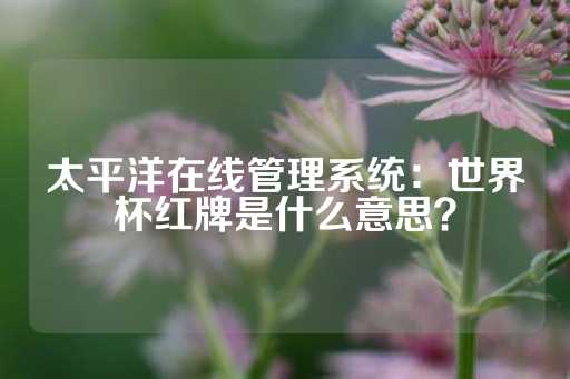 太平洋在线管理系统：世界杯红牌是什么意思？