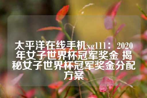 太平洋在线手机xg111：2020年女子世界杯冠军奖金 揭秘女子世界杯冠军奖金分配方案