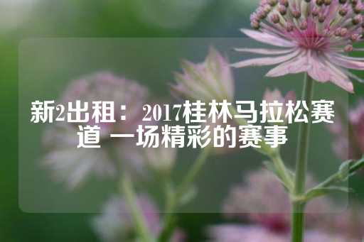 新2出租：2017桂林马拉松赛道 一场精彩的赛事