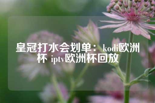 皇冠打水会划单：kodi欧洲杯 iptv欧洲杯回放-第1张图片-皇冠信用盘出租