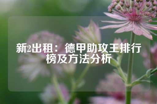 新2出租：德甲助攻王排行榜及方法分析