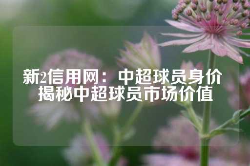 新2信用网：中超球员身价 揭秘中超球员市场价值-第1张图片-皇冠信用盘出租