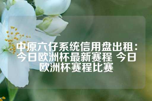 中原六仔系统信用盘出租：今日欧洲杯最新赛程 今日欧洲杯赛程比赛-第1张图片-皇冠信用盘出租