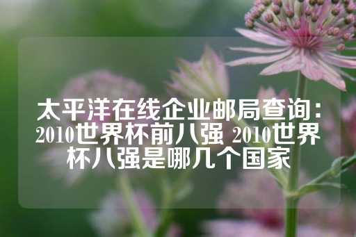 太平洋在线企业邮局查询：2010世界杯前八强 2010世界杯八强是哪几个国家