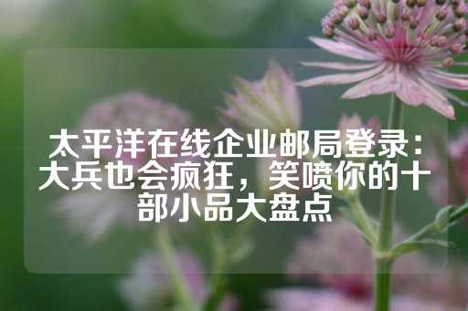 太平洋在线企业邮局登录：大兵也会疯狂，笑喷你的十部小品大盘点