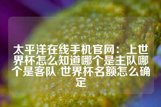 太平洋在线手机官网：上世界杯怎么知道哪个是主队哪个是客队 世界杯名额怎么确定