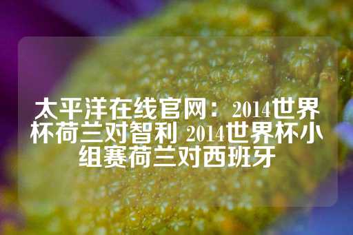 太平洋在线官网：2014世界杯荷兰对智利 2014世界杯小组赛荷兰对西班牙