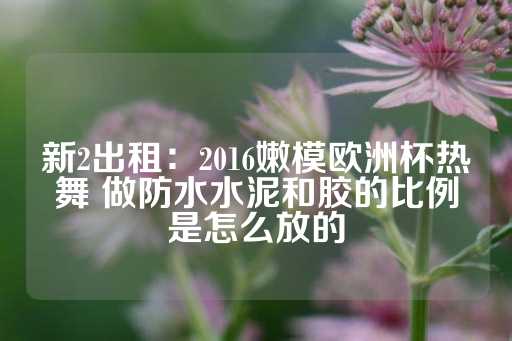 新2出租：2016嫩模欧洲杯热舞 做防水水泥和胶的比例是怎么放的