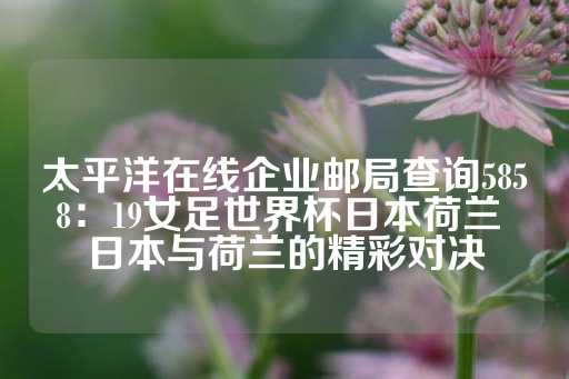 太平洋在线企业邮局查询5858：19女足世界杯日本荷兰 日本与荷兰的精彩对决