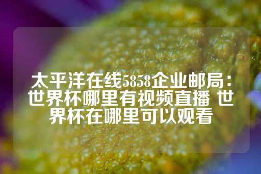 太平洋在线5858企业邮局：世界杯哪里有视频直播 世界杯在哪里可以观看-第1张图片-皇冠信用盘出租