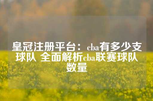 皇冠注册平台：cba有多少支球队 全面解析cba联赛球队数量-第1张图片-皇冠信用盘出租