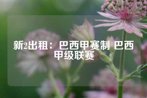 新2出租：巴西甲赛制 巴西甲级联赛