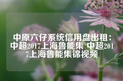 中原六仔系统信用盘出租：中超2017上海鲁能集 中超2017上海鲁能集锦视频