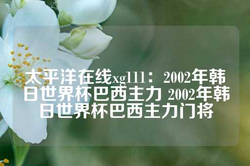 太平洋在线xg111：2002年韩日世界杯巴西主力 2002年韩日世界杯巴西主力门将