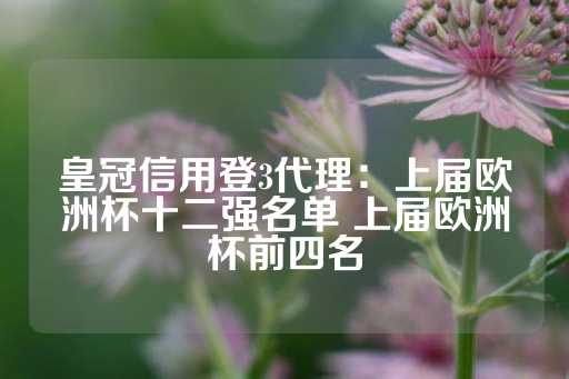 皇冠信用登3代理：上届欧洲杯十二强名单 上届欧洲杯前四名-第1张图片-皇冠信用盘出租