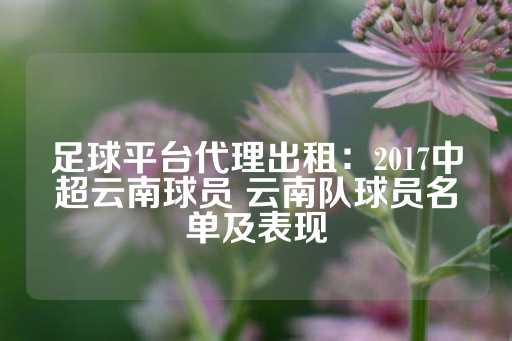 足球平台代理出租：2017中超云南球员 云南队球员名单及表现