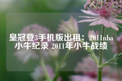 皇冠登3手机版出租：2011nba小牛纪录 2011年小牛战绩-第1张图片-皇冠信用盘出租