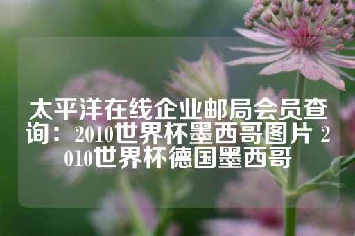 太平洋在线企业邮局会员查询：2010世界杯墨西哥图片 2010世界杯德国墨西哥-第1张图片-皇冠信用盘出租