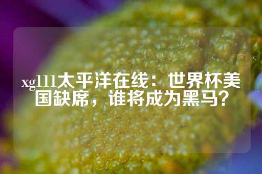 xg111太平洋在线：世界杯美国缺席，谁将成为黑马？