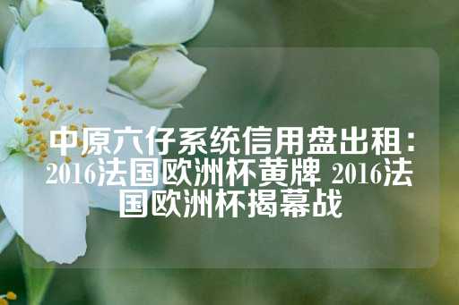 中原六仔系统信用盘出租：2016法国欧洲杯黄牌 2016法国欧洲杯揭幕战