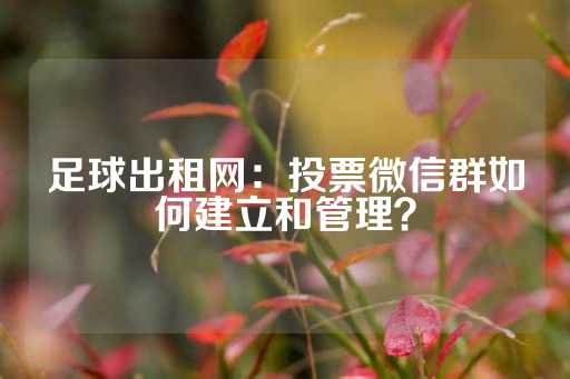 足球出租网：投票微信群如何建立和管理？