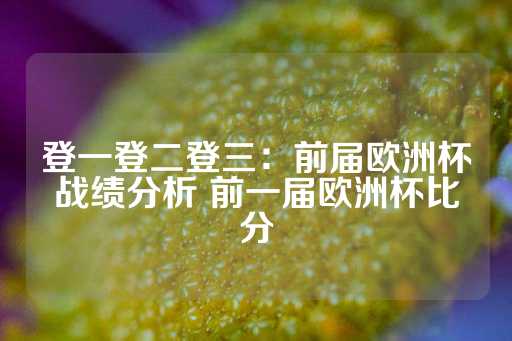 登一登二登三：前届欧洲杯战绩分析 前一届欧洲杯比分