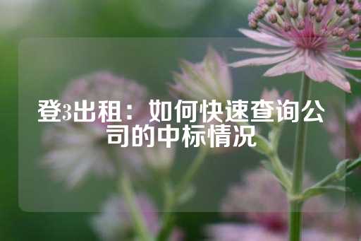 登3出租：如何快速查询公司的中标情况