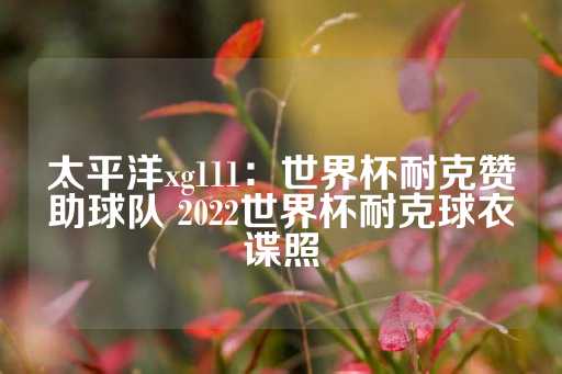 太平洋xg111：世界杯耐克赞助球队 2022世界杯耐克球衣谍照