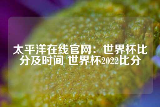 太平洋在线官网：世界杯比分及时间 世界杯2022比分