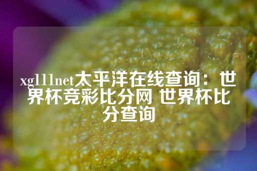 xg111net太平洋在线查询：世界杯竞彩比分网 世界杯比分查询