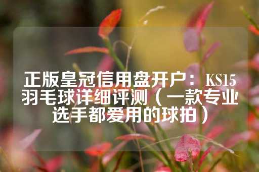 正版皇冠信用盘开户：KS15羽毛球详细评测（一款专业选手都爱用的球拍）