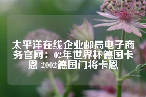 太平洋在线企业邮局电子商务官网：02年世界杯德国卡恩 2002德国门将卡恩-第1张图片-皇冠信用盘出租