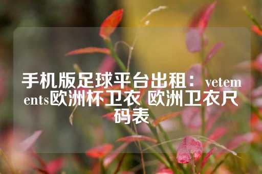 手机版足球平台出租：vetements欧洲杯卫衣 欧洲卫衣尺码表