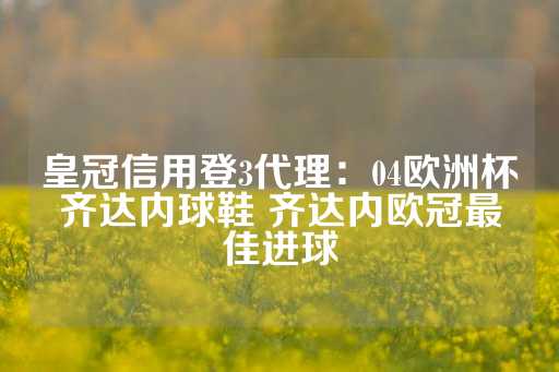 皇冠信用登3代理：04欧洲杯齐达内球鞋 齐达内欧冠最佳进球