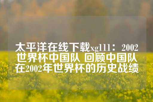 太平洋在线下载xg111：2002世界杯中国队 回顾中国队在2002年世界杯的历史战绩