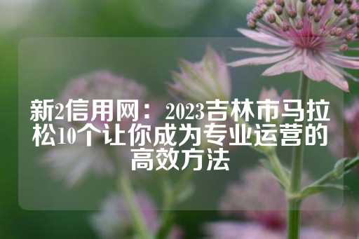 新2信用网：2023吉林市马拉松10个让你成为专业运营的高效方法