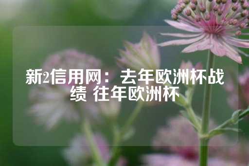 新2信用网：去年欧洲杯战绩 往年欧洲杯