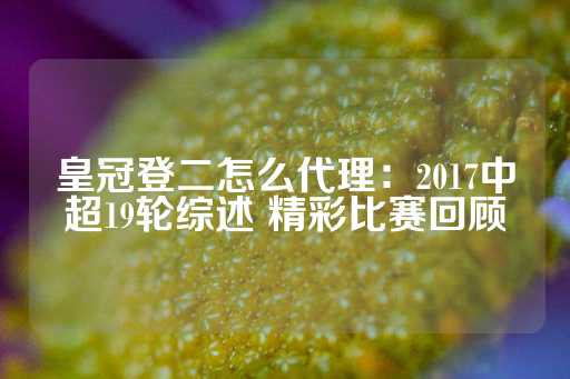 皇冠登二怎么代理：2017中超19轮综述 精彩比赛回顾