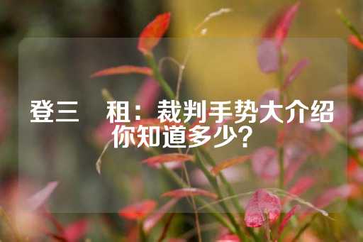 登三岀租：裁判手势大介绍你知道多少？-第1张图片-皇冠信用盘出租