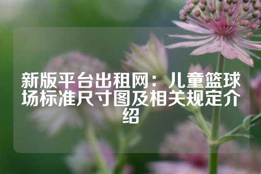 新版平台出租网：儿童篮球场标准尺寸图及相关规定介绍