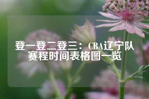 登一登二登三：CBA辽宁队赛程时间表格图一览