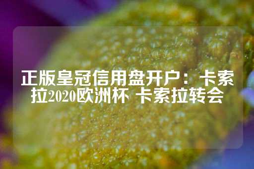 正版皇冠信用盘开户：卡索拉2020欧洲杯 卡索拉转会