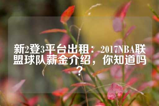 新2登3平台出租：2017NBA联盟球队薪金介绍，你知道吗？