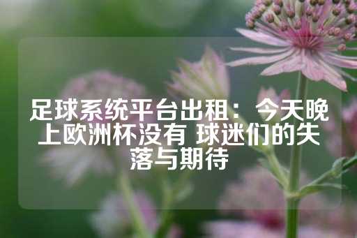 足球系统平台出租：今天晚上欧洲杯没有 球迷们的失落与期待