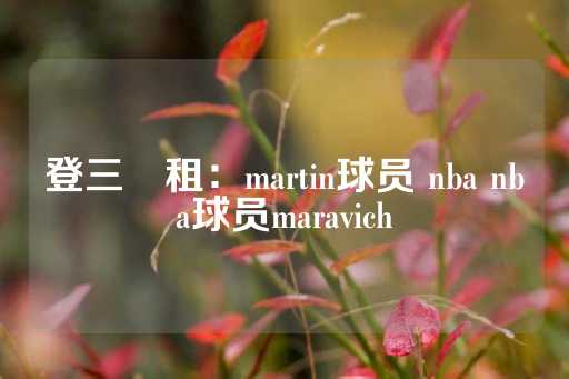 登三岀租：martin球员 nba nba球员maravich